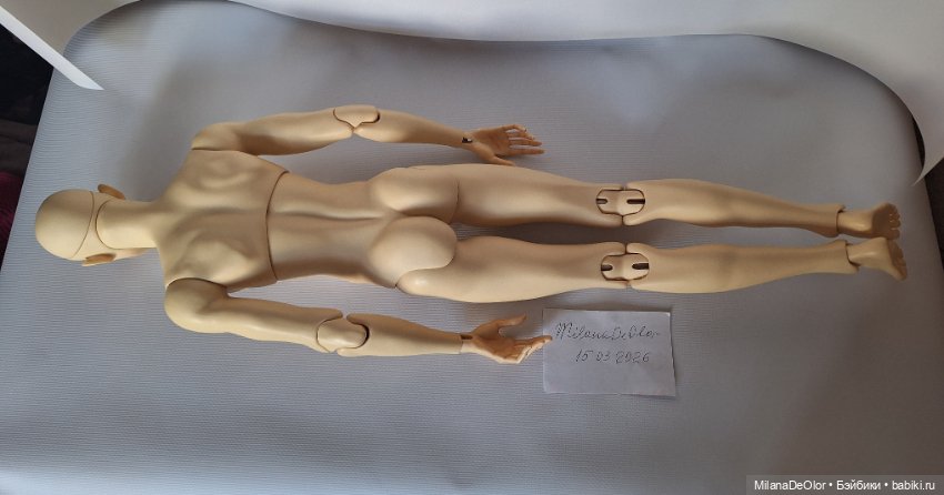 Продам 5 Motif Venitu — Куклы BJD (фото 2)