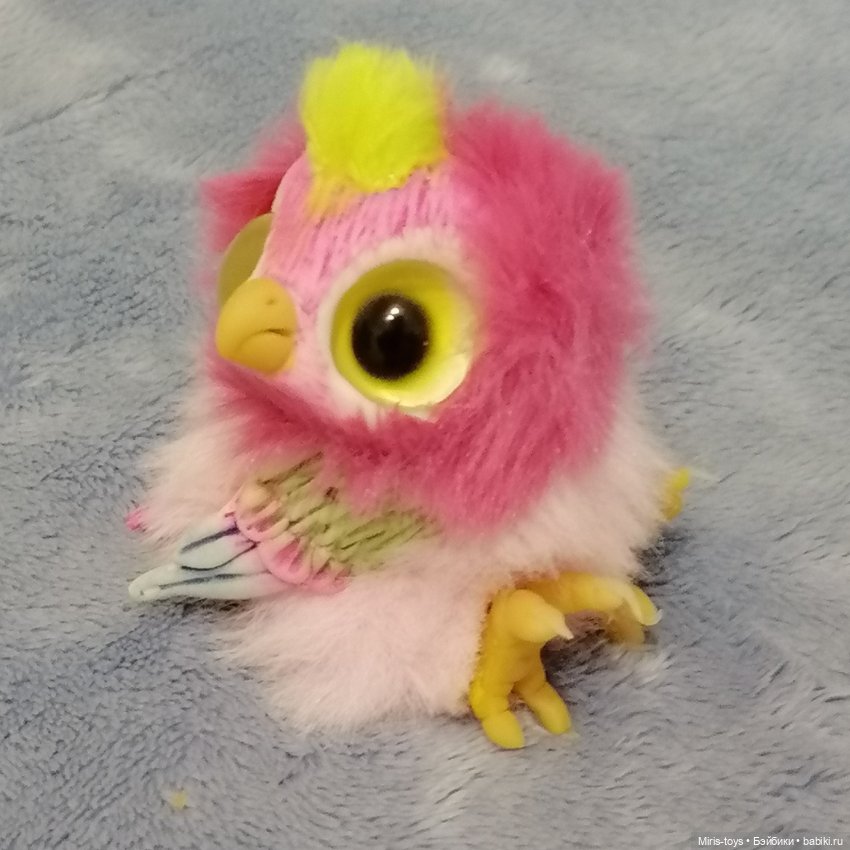 Птенчик попугайчика — Авторские игрушки (фото 4)