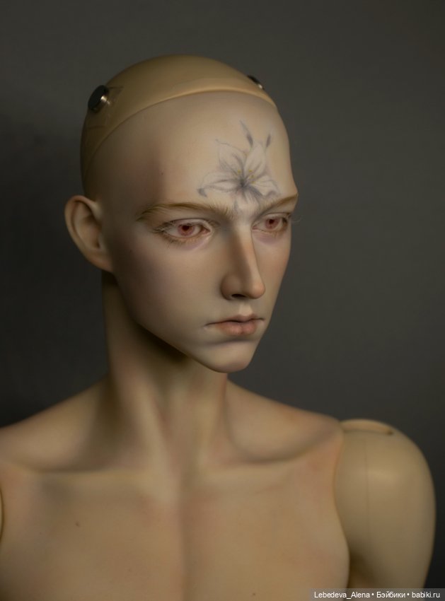 5th Motif Venitu — Куклы BJD (фото 2)