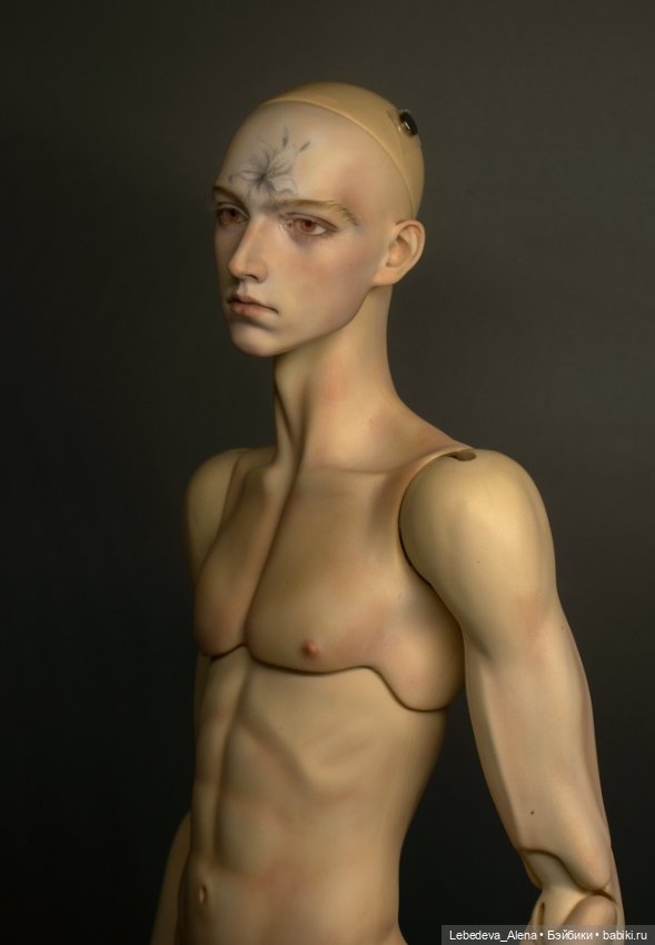 5th Motif Venitu — Куклы BJD (фото 3)