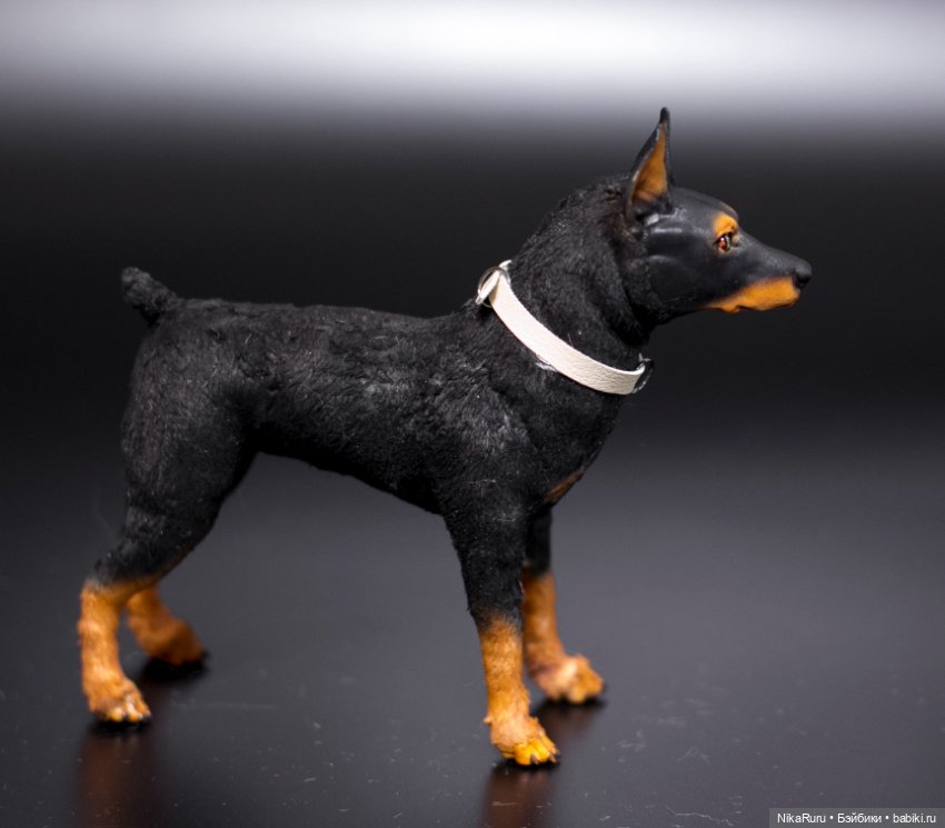 Доберман собака для Барби формат 1/6 в смешанной технике (фото 2)