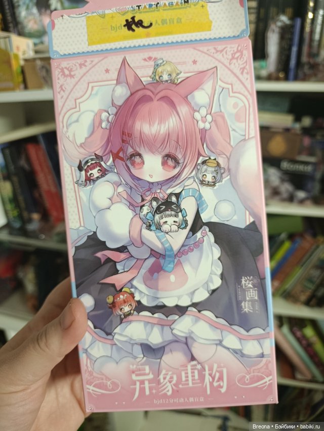 Девочка с двумя головами — Шарнирные куклы (не BJD) (фото 7)