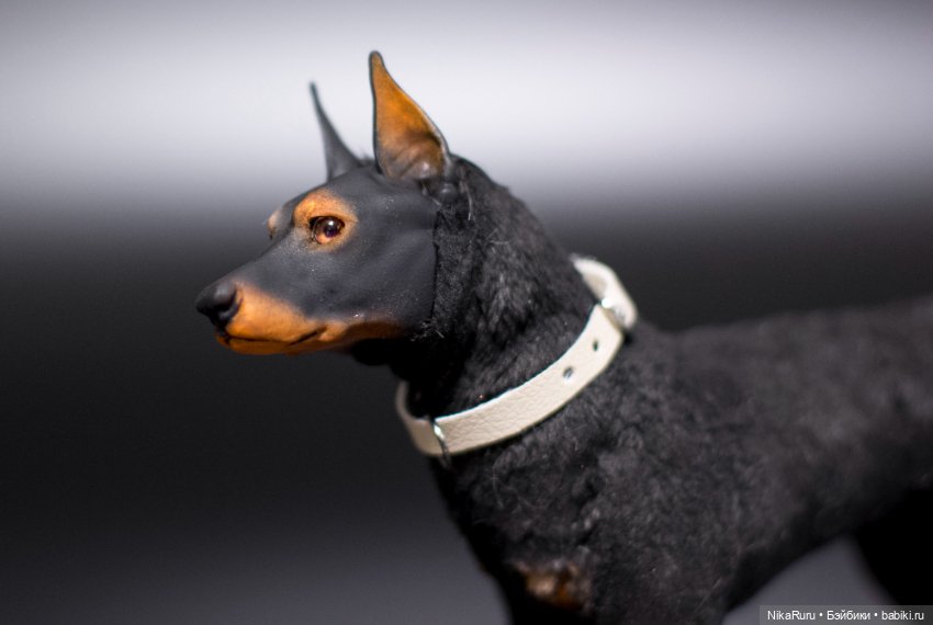 Доберман собака для Барби формат 1/6 в смешанной технике (фото 6)