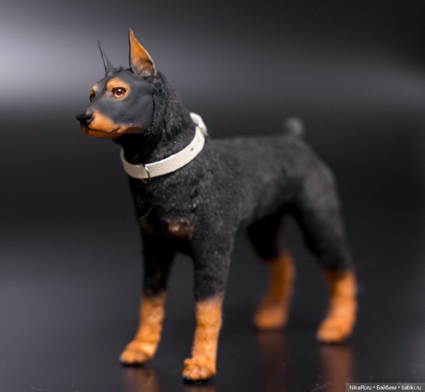 Доберман собака для Барби формат 1/6 в смешанной технике (фото 7)