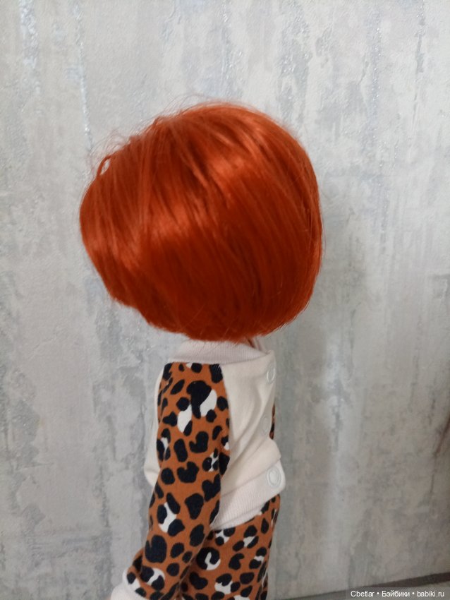 Голова рыжего пареня Паола Рейна (фото 2)