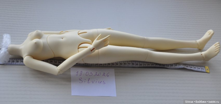 Женское тело SD (50см) — Части кукол BJD