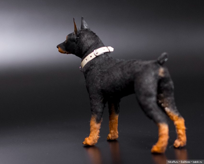 Доберман собака для Барби формат 1/6 в смешанной технике (фото 4)