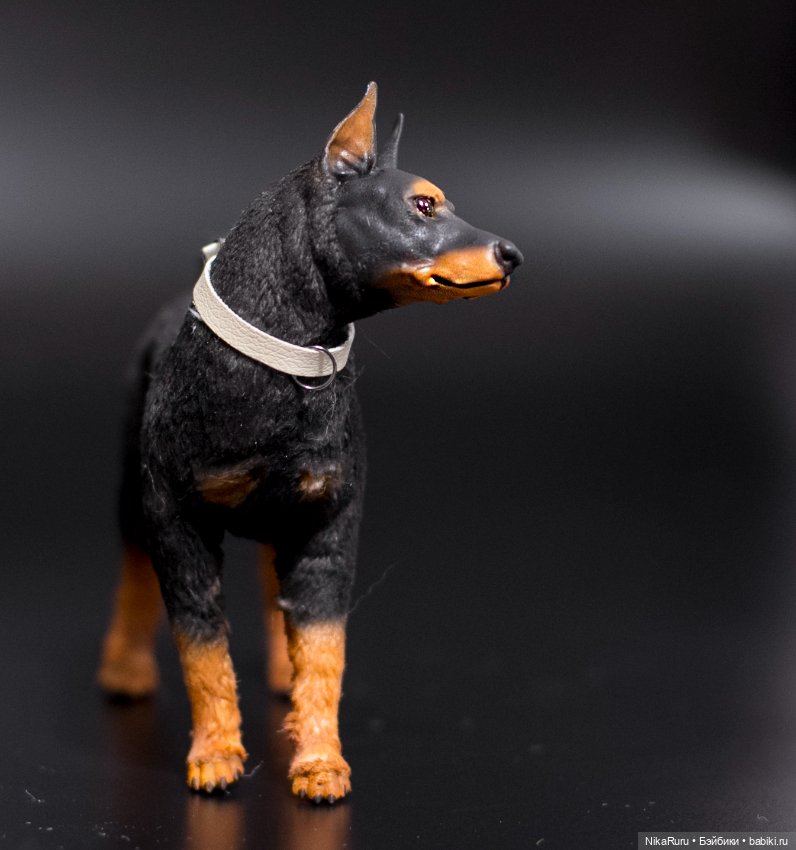 Доберман собака для Барби формат 1/6 в смешанной технике (фото 8)