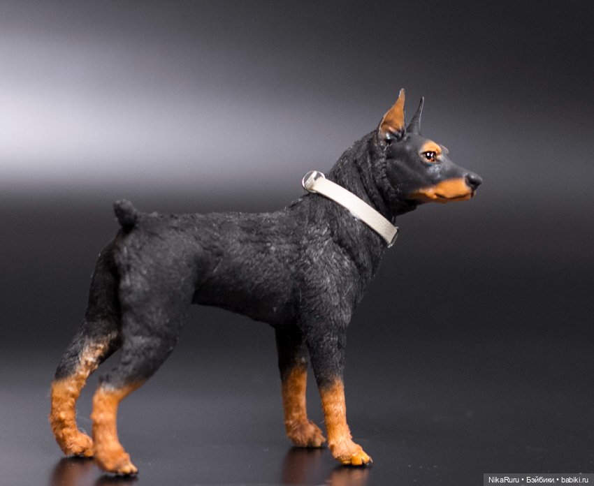 Доберман собака для Барби формат 1/6 в смешанной технике (фото 5)