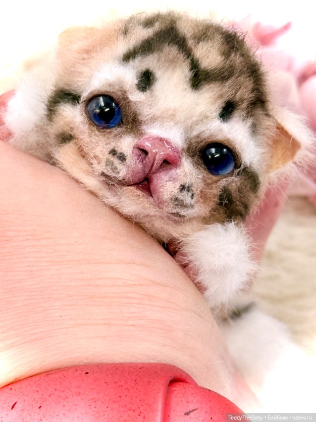 Авторские игрушки (фото 5)