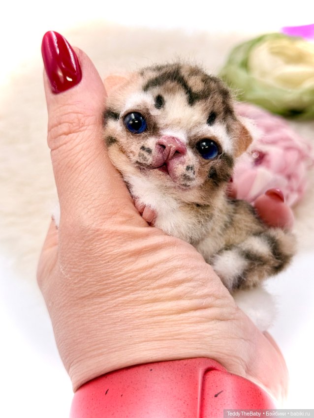 Авторские игрушки (фото 7)