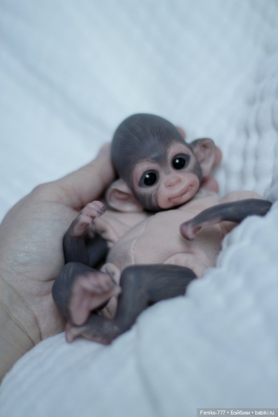 Mini Baby monkey — Куклы реборн