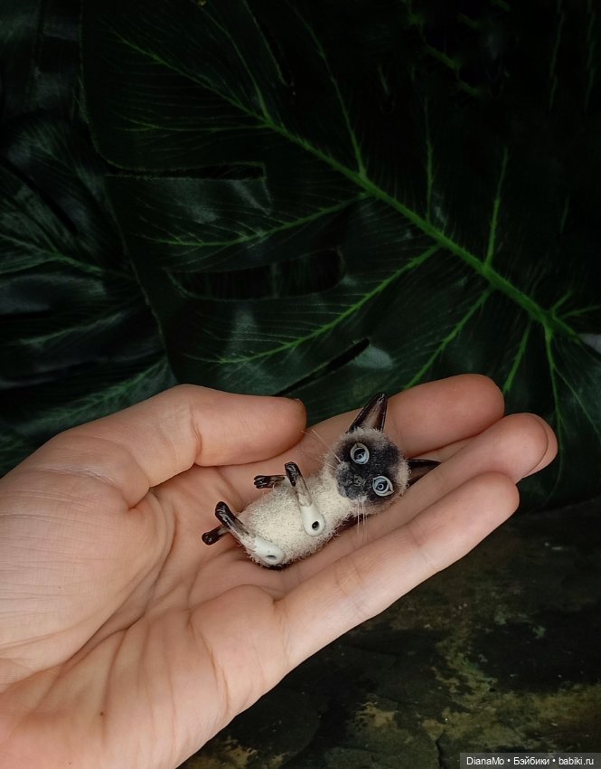 Сиамский котик — Авторские игрушки (фото 4)