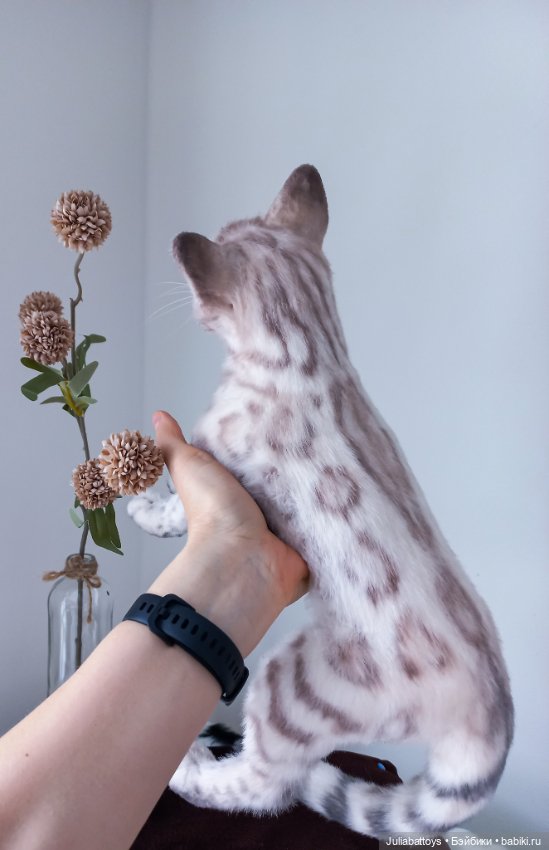 Игрушка котик. Снежный бенгал (фото 5)