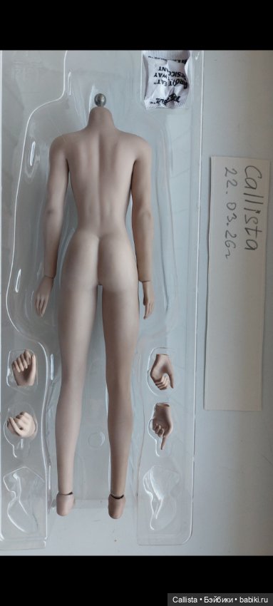 Продам шарнирные тело Phicen suntan (фото 2)