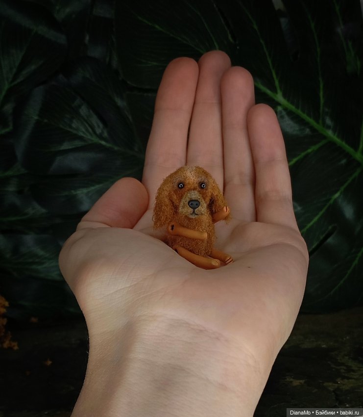 Английский кокер-спаниэль (фото 2)