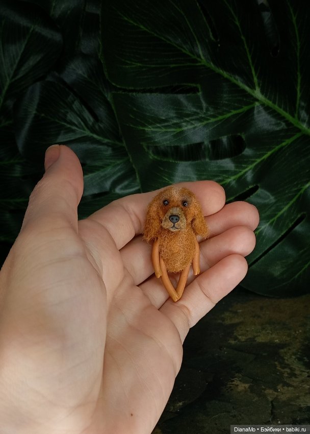 Английский кокер-спаниэль (фото 4)