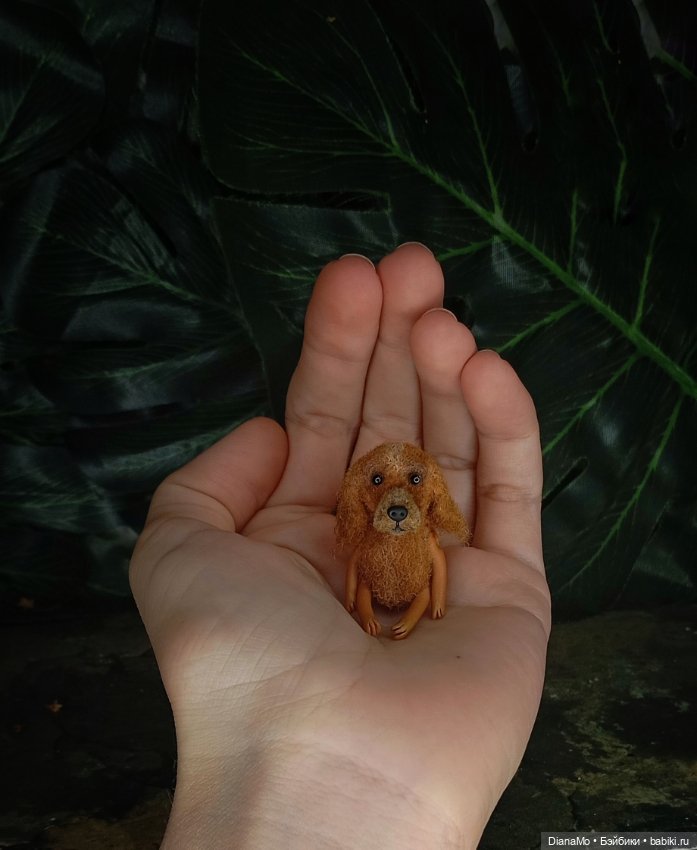 Английский кокер-спаниэль