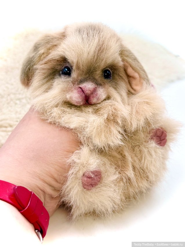 Кекс 🐰 — Авторские игрушки (фото 5)