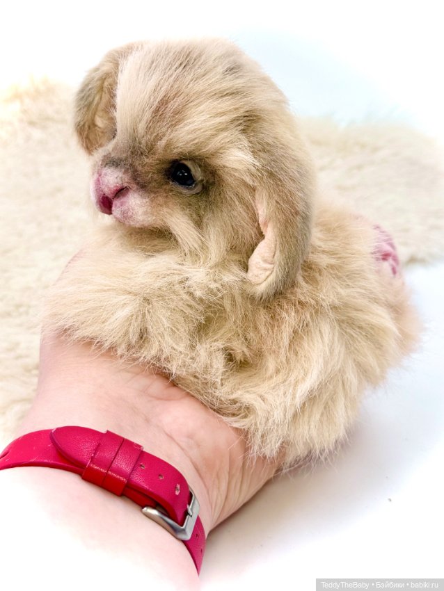 Кекс 🐰 — Авторские игрушки (фото 7)