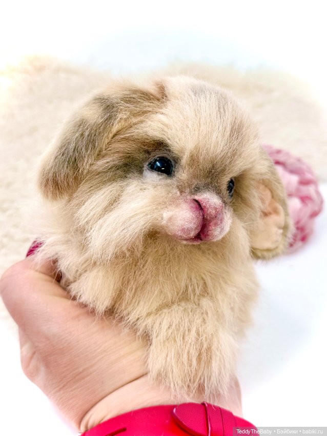 Кекс 🐰 — Авторские игрушки (фото 4)