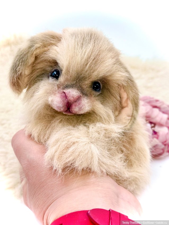 Кекс 🐰 — Авторские игрушки (фото 10)