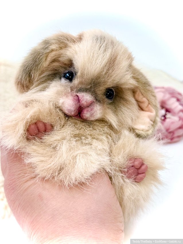 Кекс 🐰 — Авторские игрушки (фото 8)