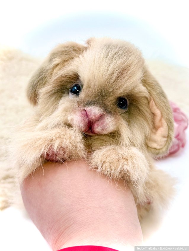 Кекс 🐰 — Авторские игрушки (фото 3)