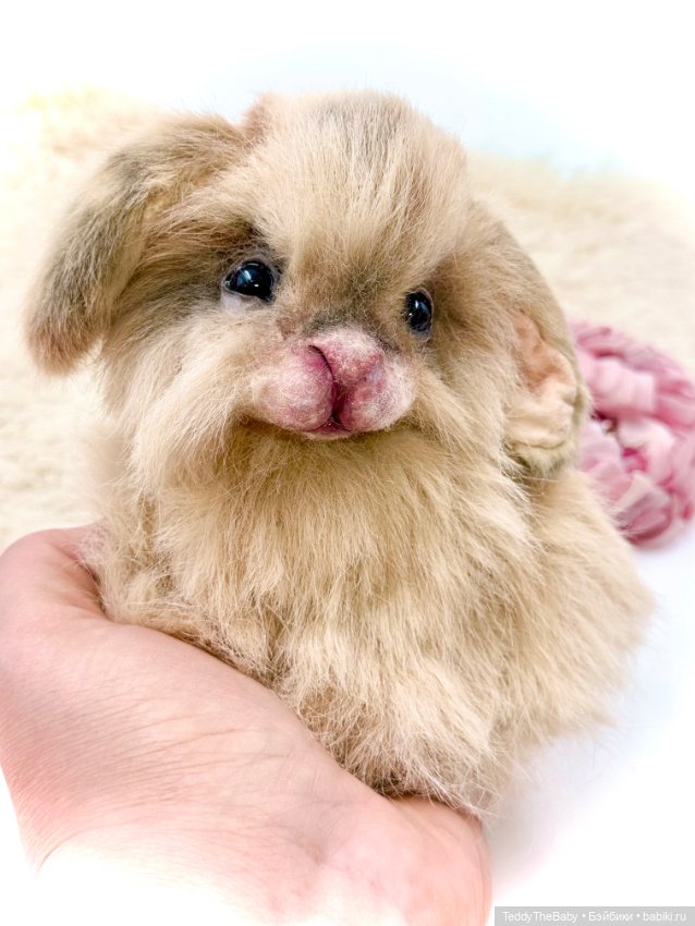 Кекс 🐰 — Авторские игрушки (фото 2)