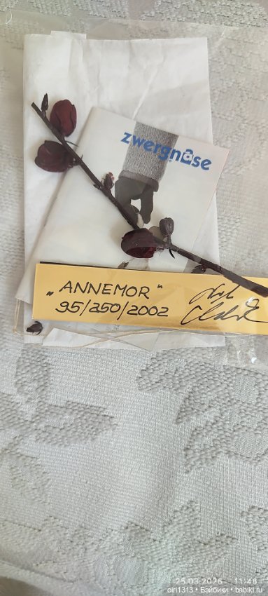 Annemor с натуральными волосами (фото 4)