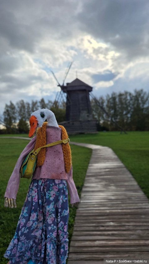 Продам мистера Гуся от Good and strange (фото 3)