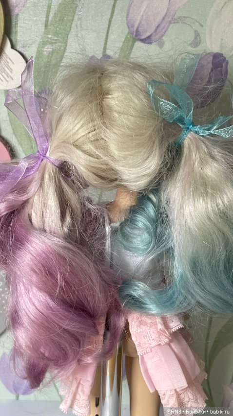 Reina del Norte на бдж теле (фото 3)