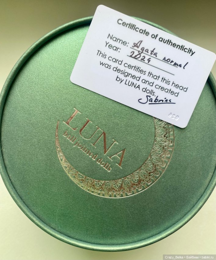 Голова Агаты от Luna Dolls Алены Зайцевой (фото 8)