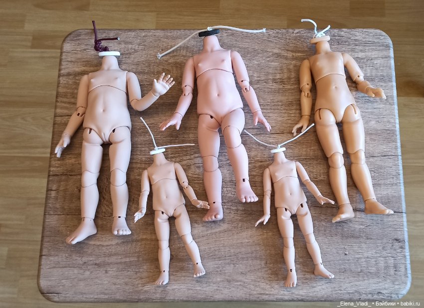 Лот БЖД тел для Паола Рейна и мини Паола Рейна (Г. Карповой и Т. Бачуриной) (фото 6)