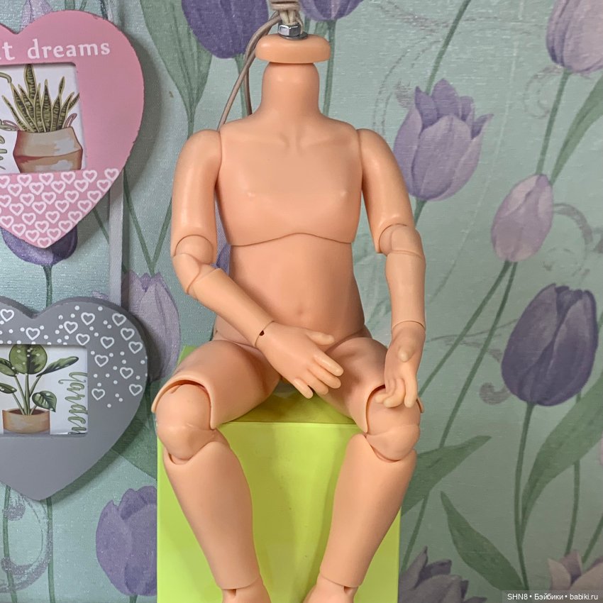 Шарнирное тело для Паола рейна (фото 9)