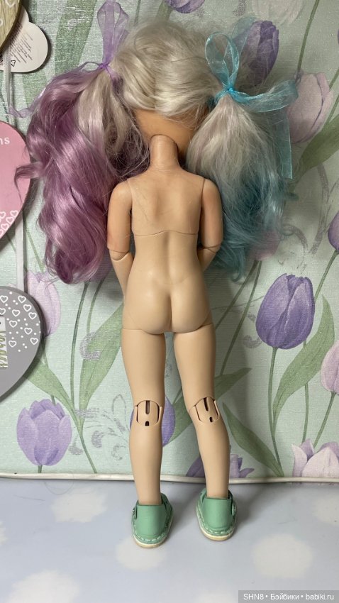 Reina del Norte на бдж теле (фото 6)