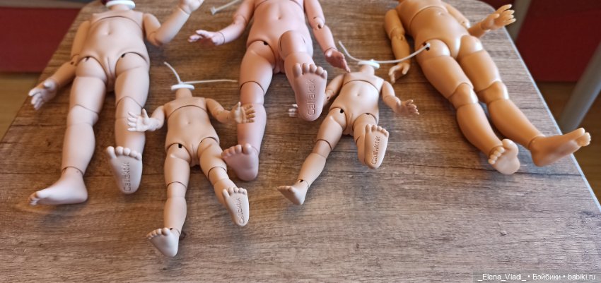 Лот БЖД тел для Паола Рейна и мини Паола Рейна (Г. Карповой и Т. Бачуриной) (фото 5)