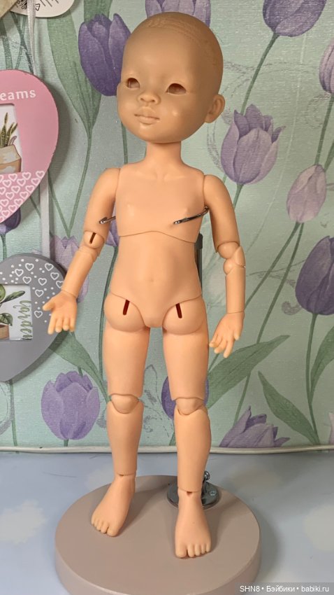 Шарнирное тело для Паола рейна