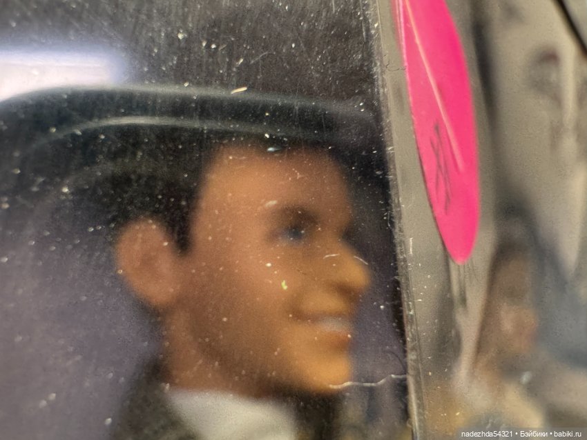 Кен из сета Барби любит Фрэнка Синатру (фото 6)