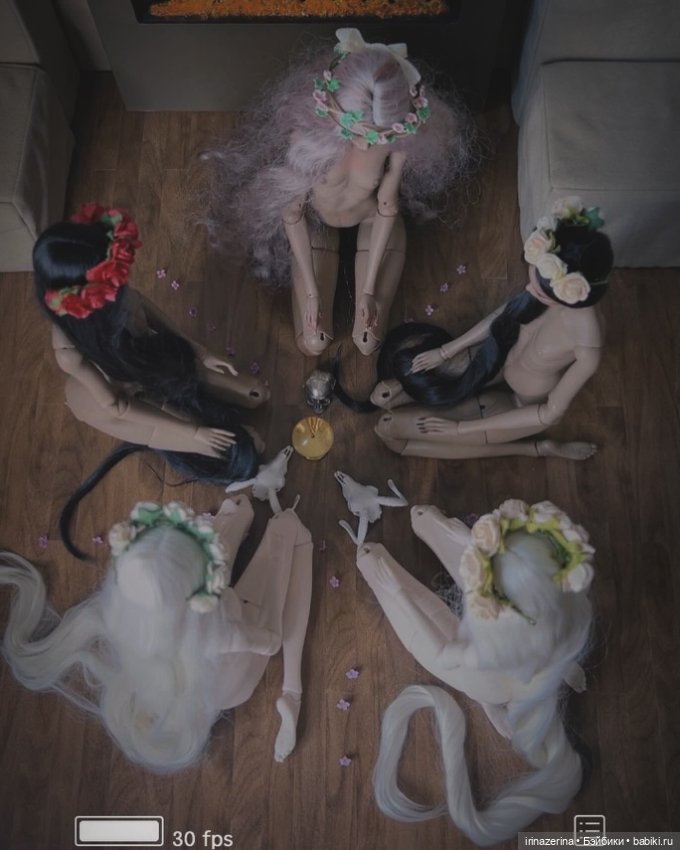Эхо Полины Мяловской Vividdolls