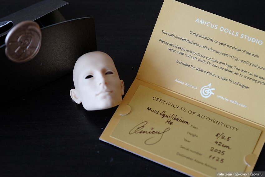 Продается фейсплейт Вилли для Amicus Equilibrium He (первой версии) тон Аврора (фото 5)