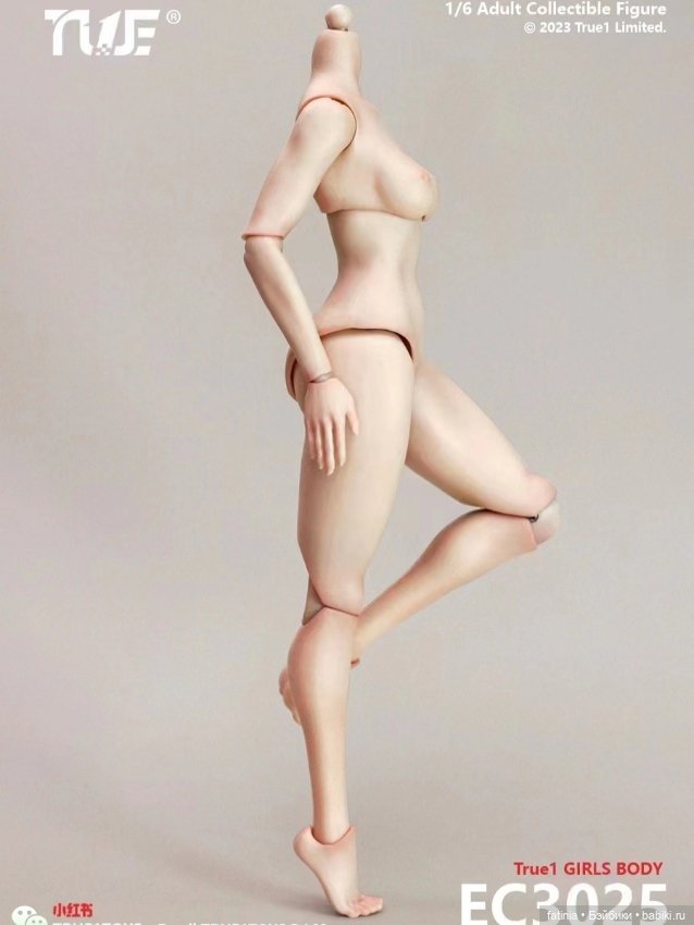 Женское тело 1/6 TrueToys EC3025 (фото 6)