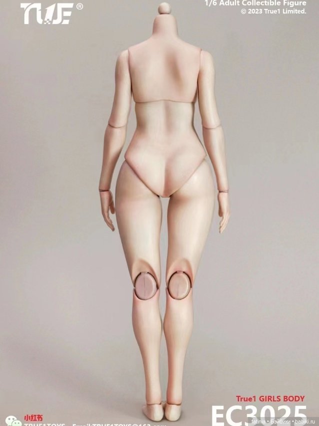 Женское тело 1/6 TrueToys EC3025 (фото 5)