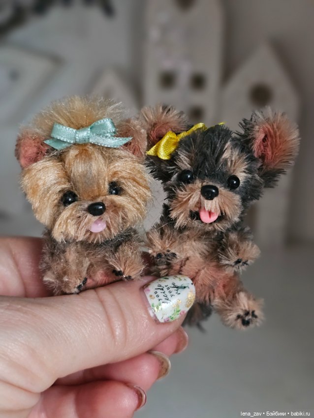 Щеночки йорки и бивер йорки