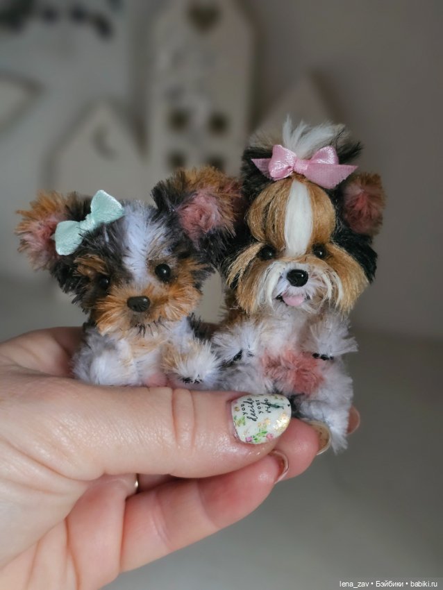 Щеночки йорки и бивер йорки (фото 4)