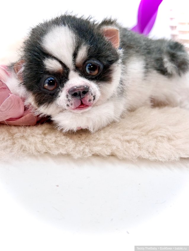 Авторские игрушки (фото 7)