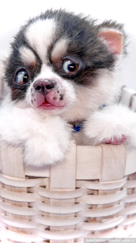 Авторские игрушки