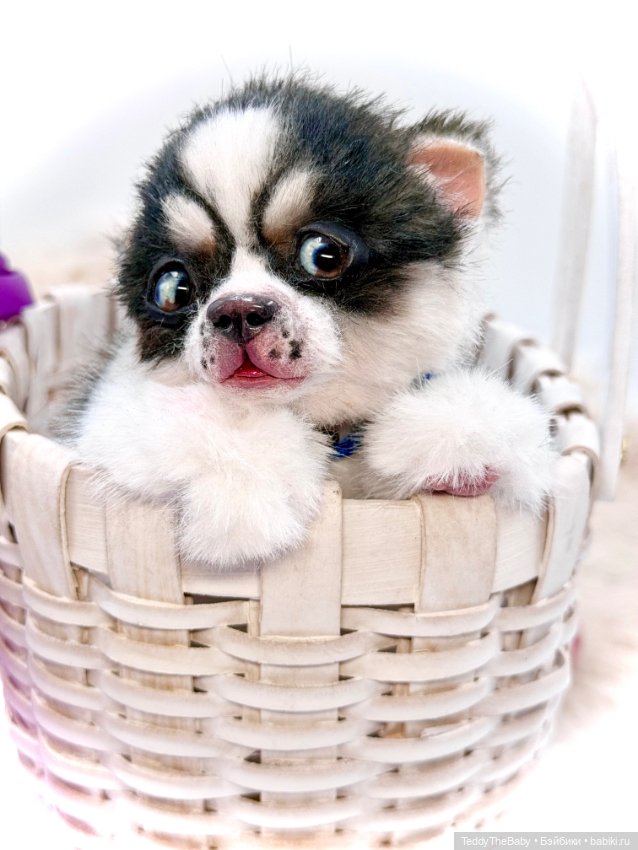 Авторские игрушки