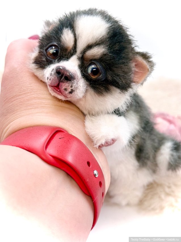 Авторские игрушки (фото 4)