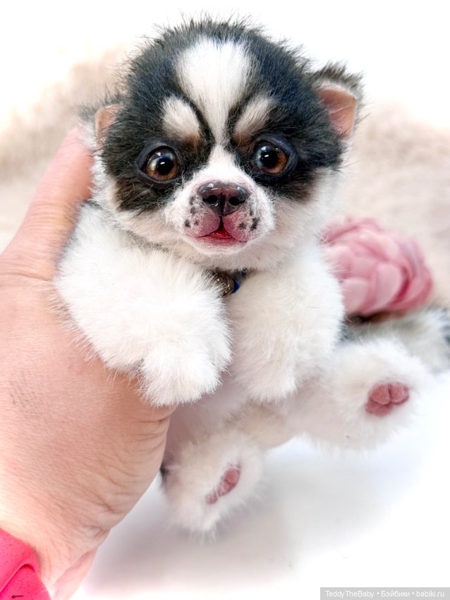 Авторские игрушки